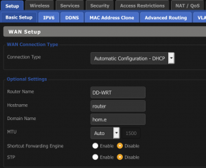 DD-WRT Domain Name Setting